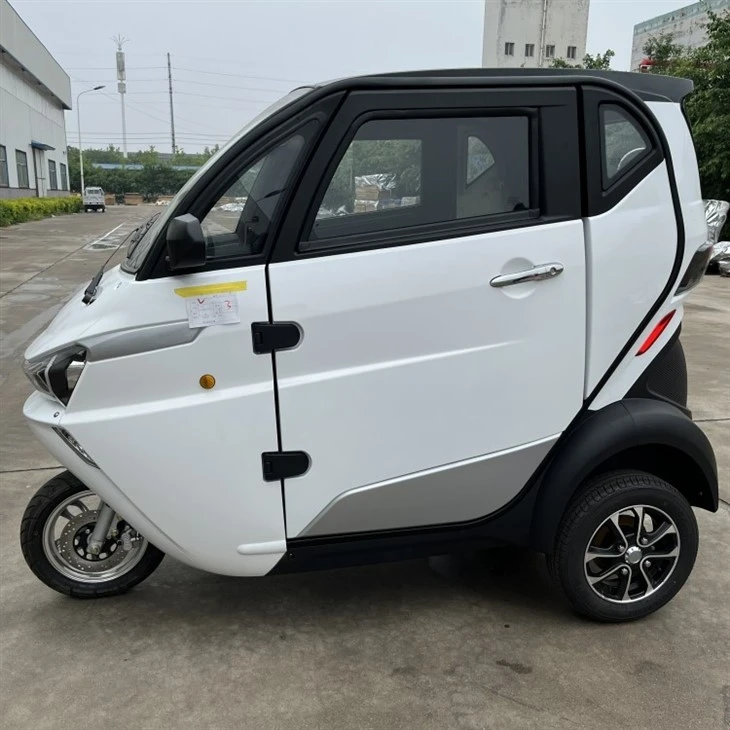 Runhorse -J1 Smart EV 3 Wheels Electric Car With EC EEC For Europe Market
