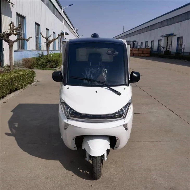 3 Wheel Electric Mini Delivery Car With Cargo Box 3 Wheel Electric Mini Delivery Car With Cargo Box