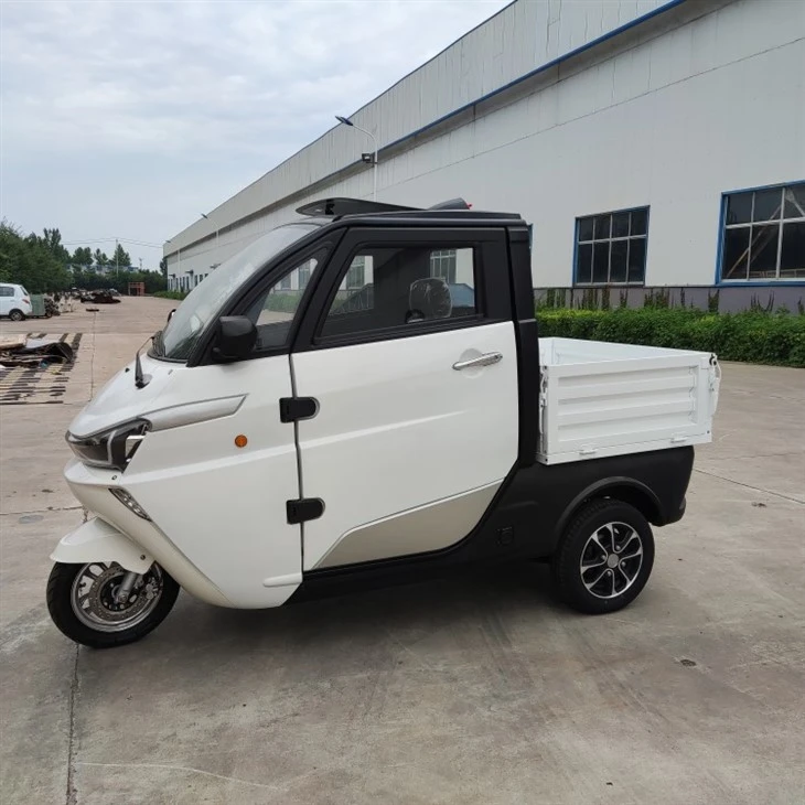 Véhicule logistique électrique Runhorse Mini voiture à basse vitesse J2C