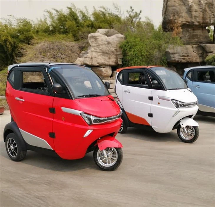 Mini fourgonnette tricycle électrique Runhorse J1