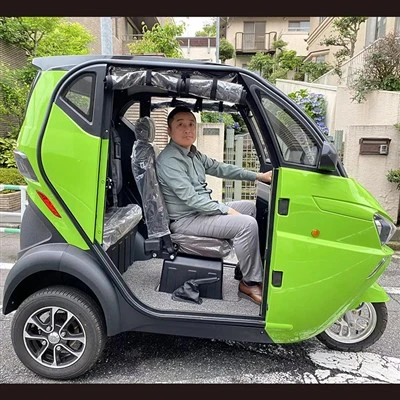 Tricycle électrique 2 places, CE 3 roues Auto Motorcycle Tuktuk