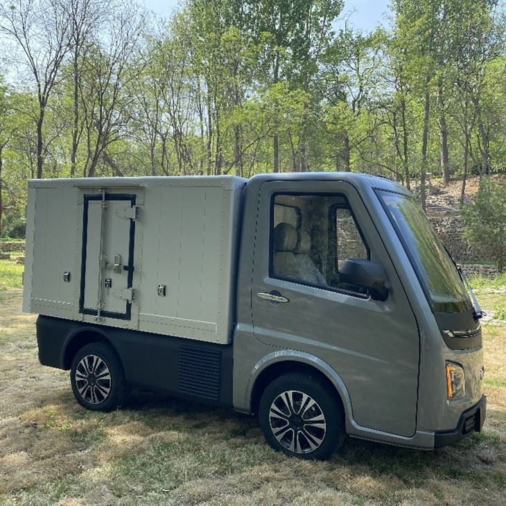 Voiture de transport électrique Runhorse avec certificat CEE